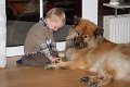 boji und thies (12)